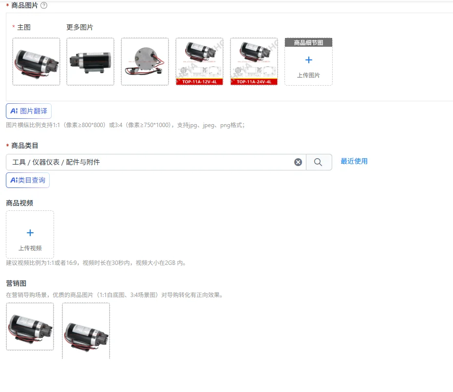 Small DC special motor DC12V/24V 12A13A gear oil pump electric cycloid triangular pump
