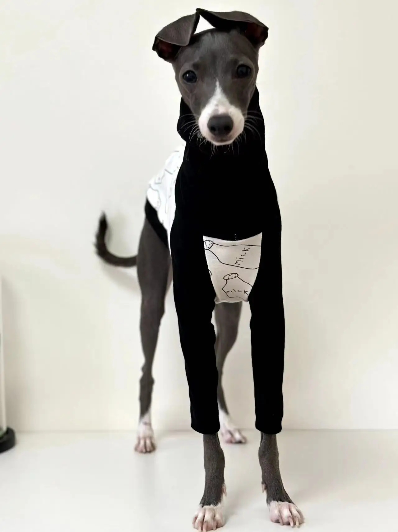 High Collar Printed Stitching Cotton Dog Clothes, Italian Greyhound, Long Sleeve, Whippet Dog Clothes, Autumn