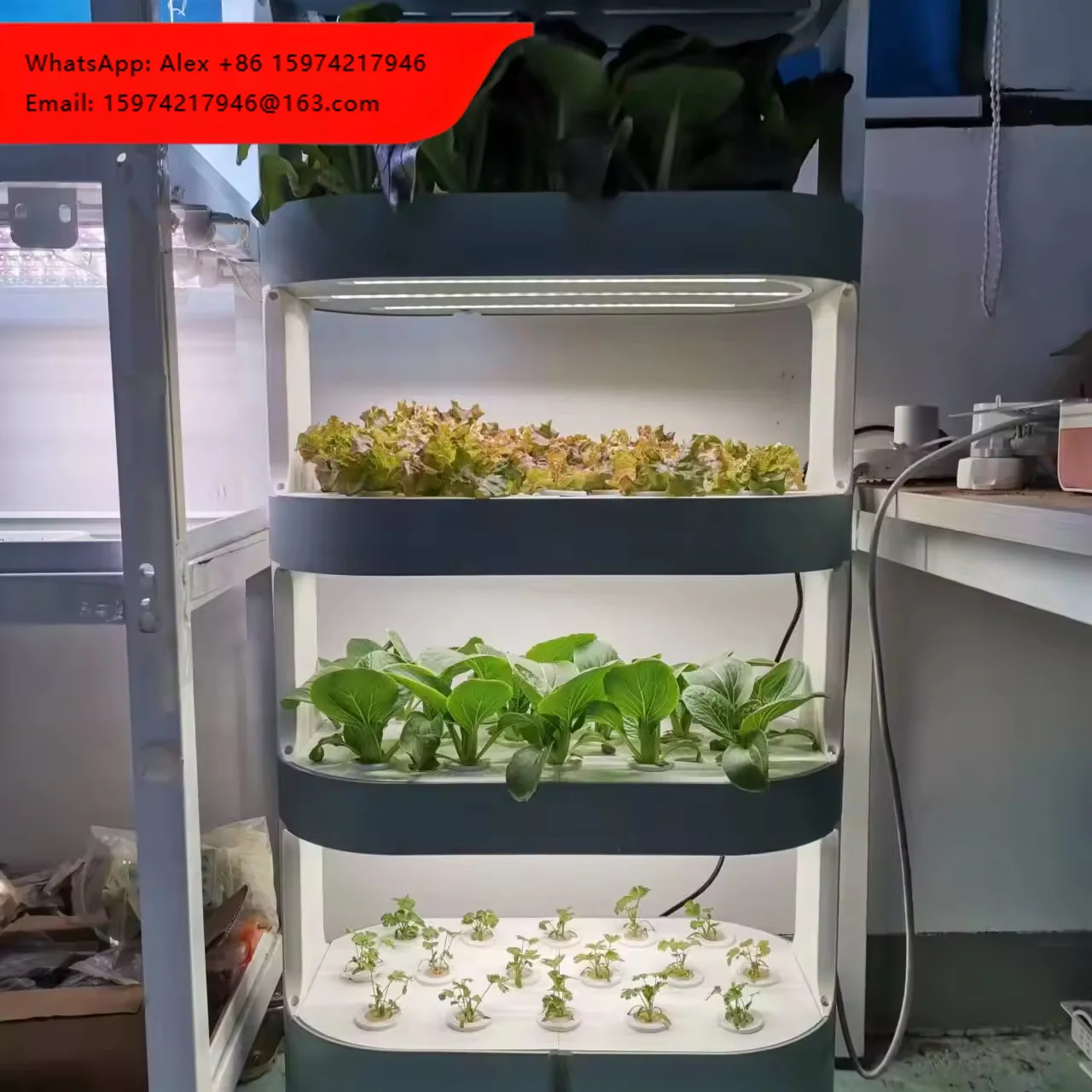 Herbal Cultivation Machine Hydroponics