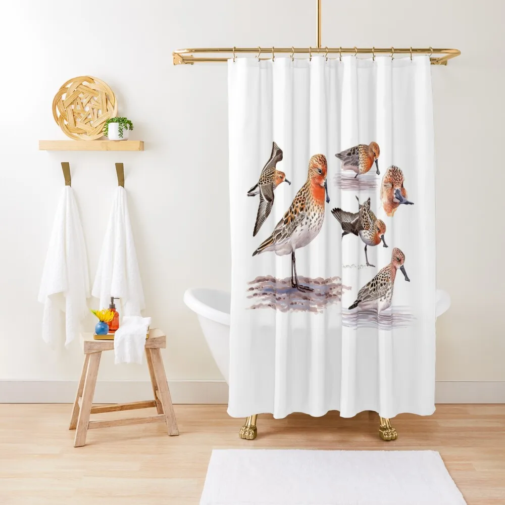 

Spoon-billed Sandpiper Shower Curtain Bathroom Shower Curtain Set Curtains For Bathrooms With Beautiful Designs