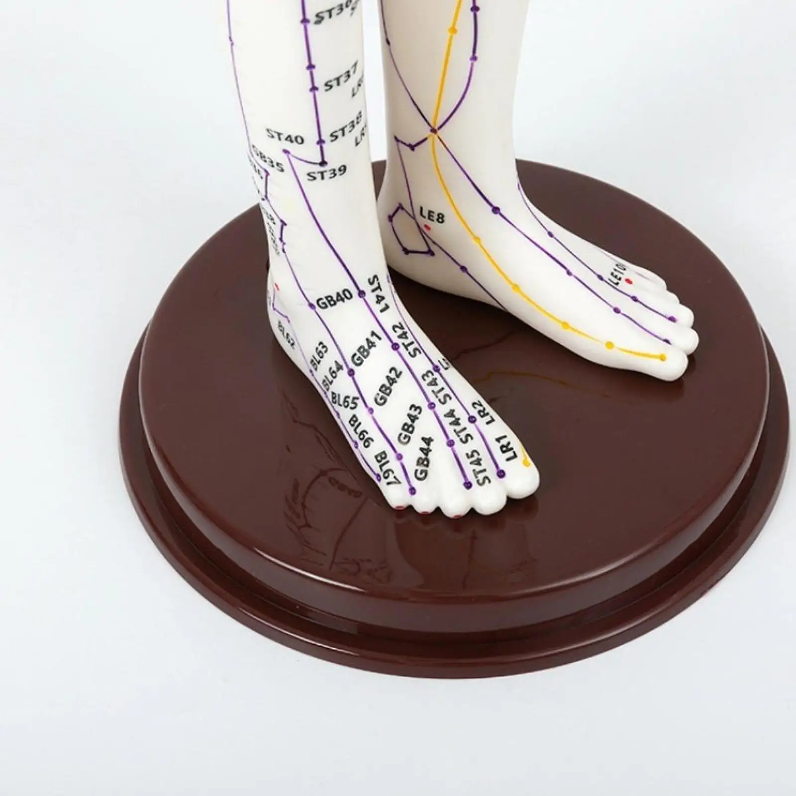 Acupuncture Model Human Sculpture Practice Model With Base Study PVC Education Teaching Aid with English Points for Professional