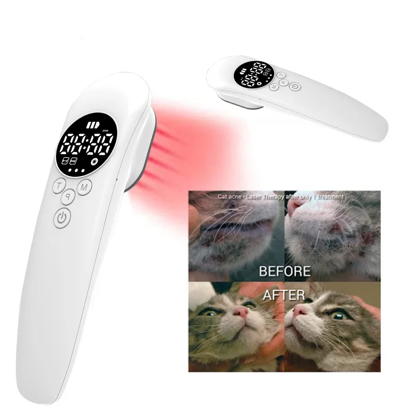 

Portable Low Level Cold Laser Therapy Device for Pain Relief Infrared Treatment 808nm 650nm lllt Physiotherapy