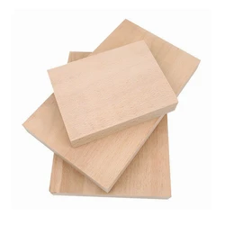 1PCS Carving Wood Blocks East Europe Beech Wood Block Strip Panel Carving Wood Blocks Untreated Carving Block Carving Blanks
