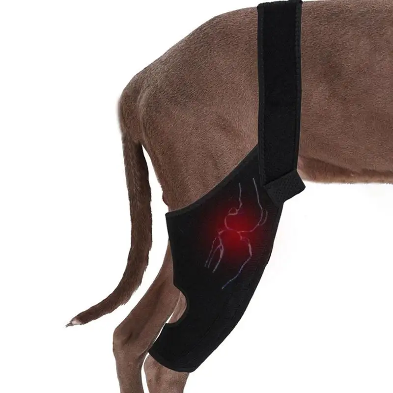 

Hip Brace For Dogs Dog Hip Dysplasia Brace Breathable Leg Protector Rear Support High Elasticity With Metal Strip Disabled Dog