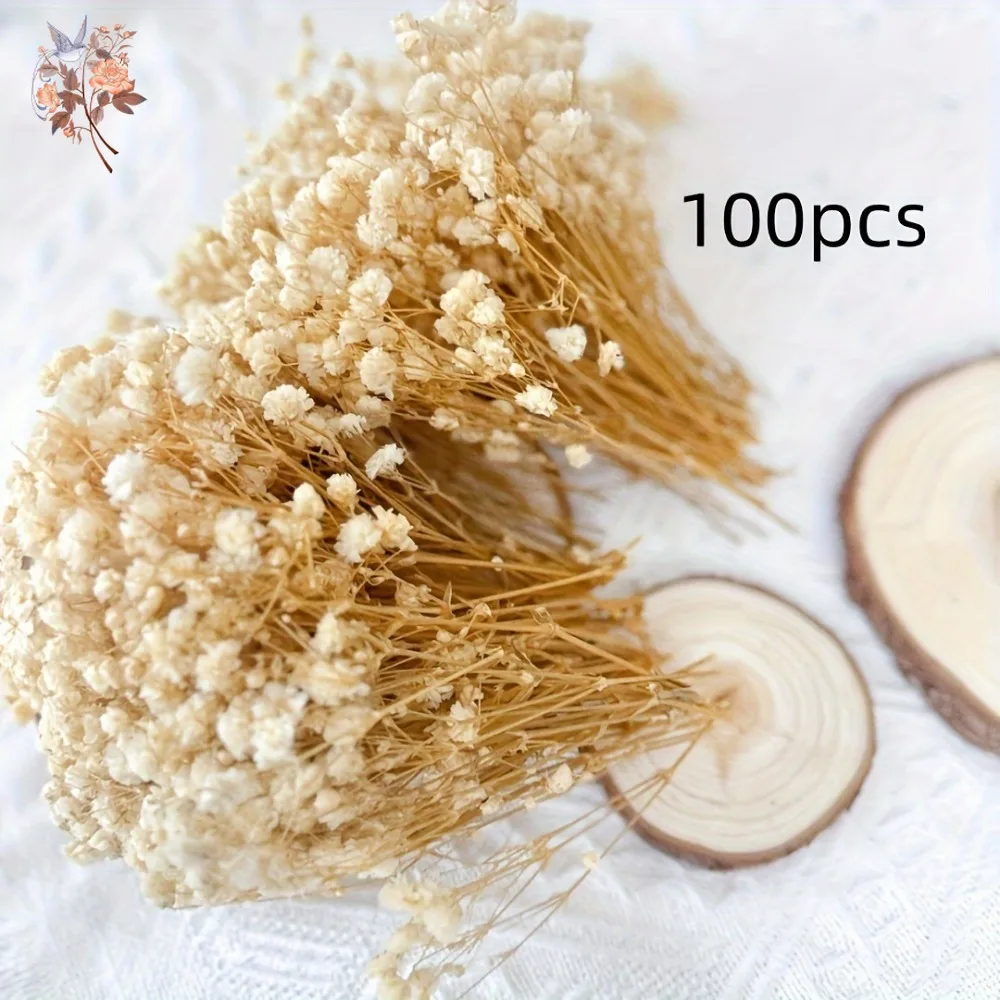 100pcs Mini Baby's Breath ดอกไม้สําหรับเรซิ่นหัตถกรรม DIY ตกแต่งบ้าน real touch Gypsophila ขนาดเล็ก Bundle ประดับของขวัญ