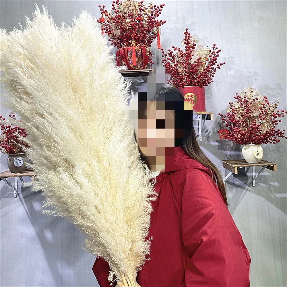 120cm - 130cm Fluffy Large Pampas Grass,Natural Dried Flower Bouquet,Boho Wedding Decoration,Shop Ornament,Vintage Home Decor view 6