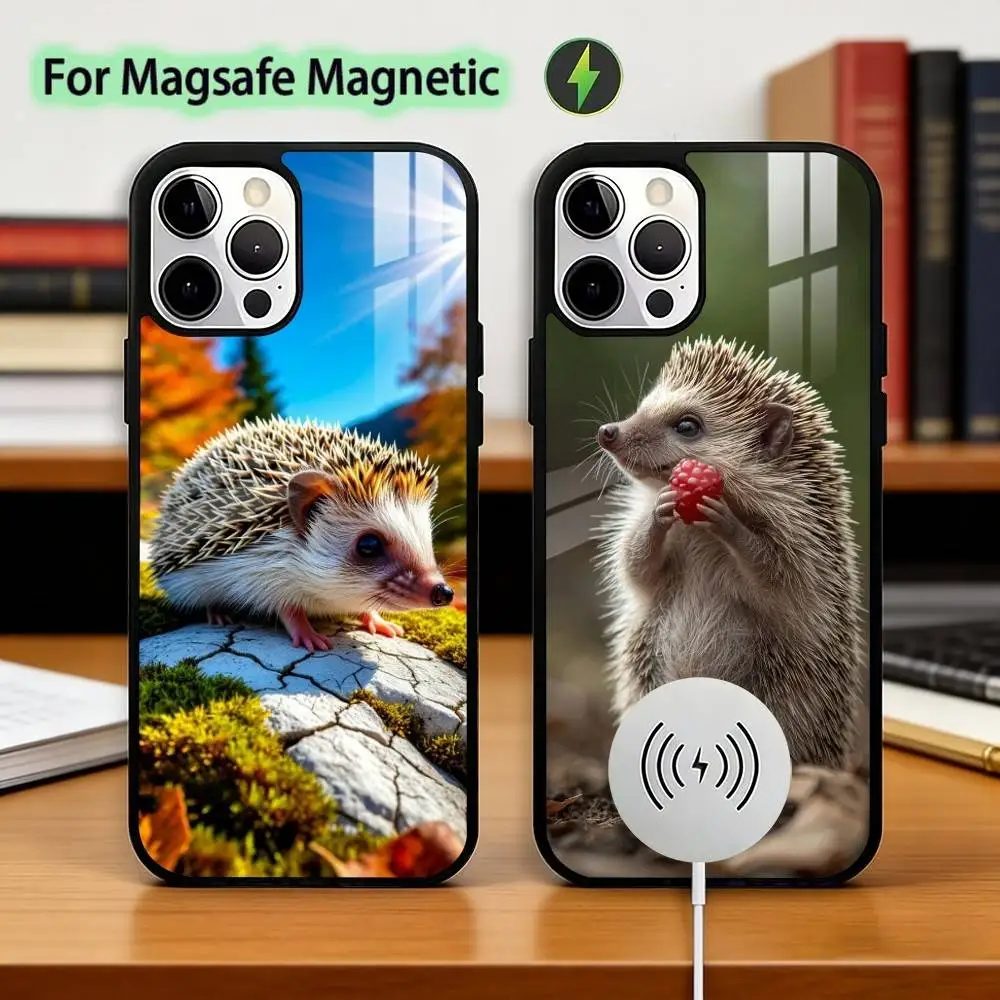 

B-Bright Hedgehog In The Fog Phone Case For iPhone17,16,15,14,13,12,11 Plus,Pro Magnetic For Magsafe Wireless Charging