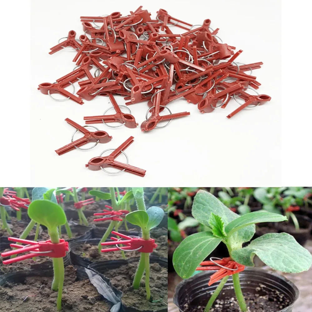 200PCS Practical Universal Plant Grafting Clips Plastic Compact Garden Plant Clips Red Curved Mouth Gardening Tool Clips