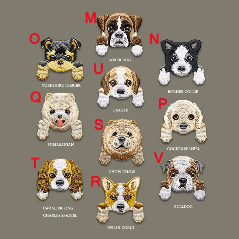 Chihuahua Iron On Ropa de bebé Parches de ropa Mochila Decoración Parche Apliques