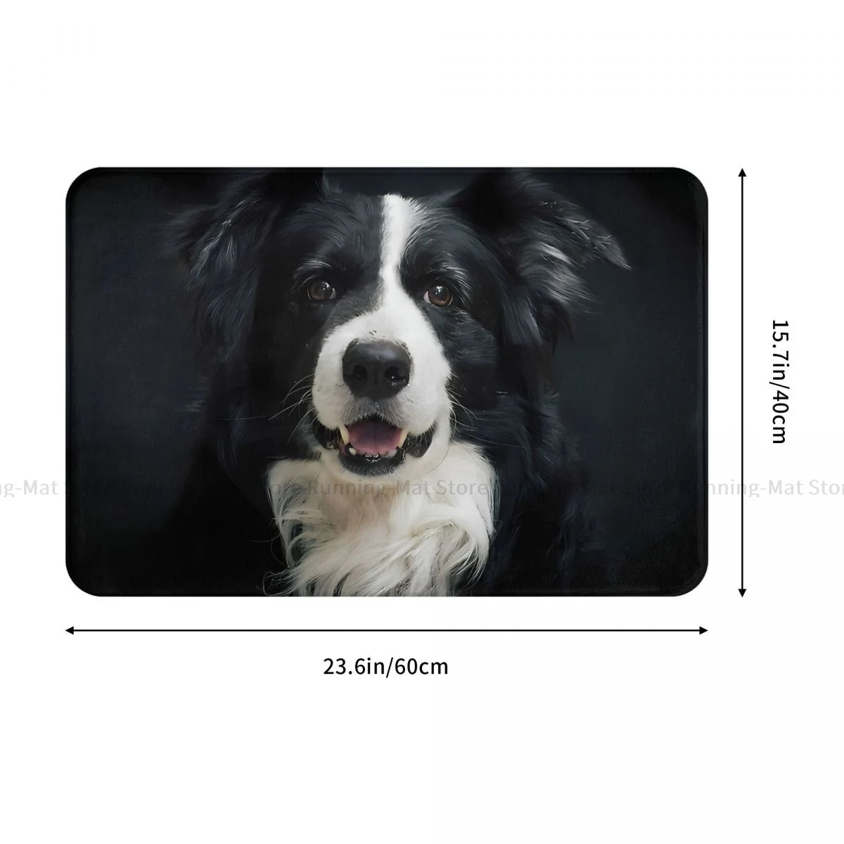 Border Collie Pet Dog Non-slip Doormat Kawaii Living Room Kitchen Mat Outdoor Carpet Home Modern Decor