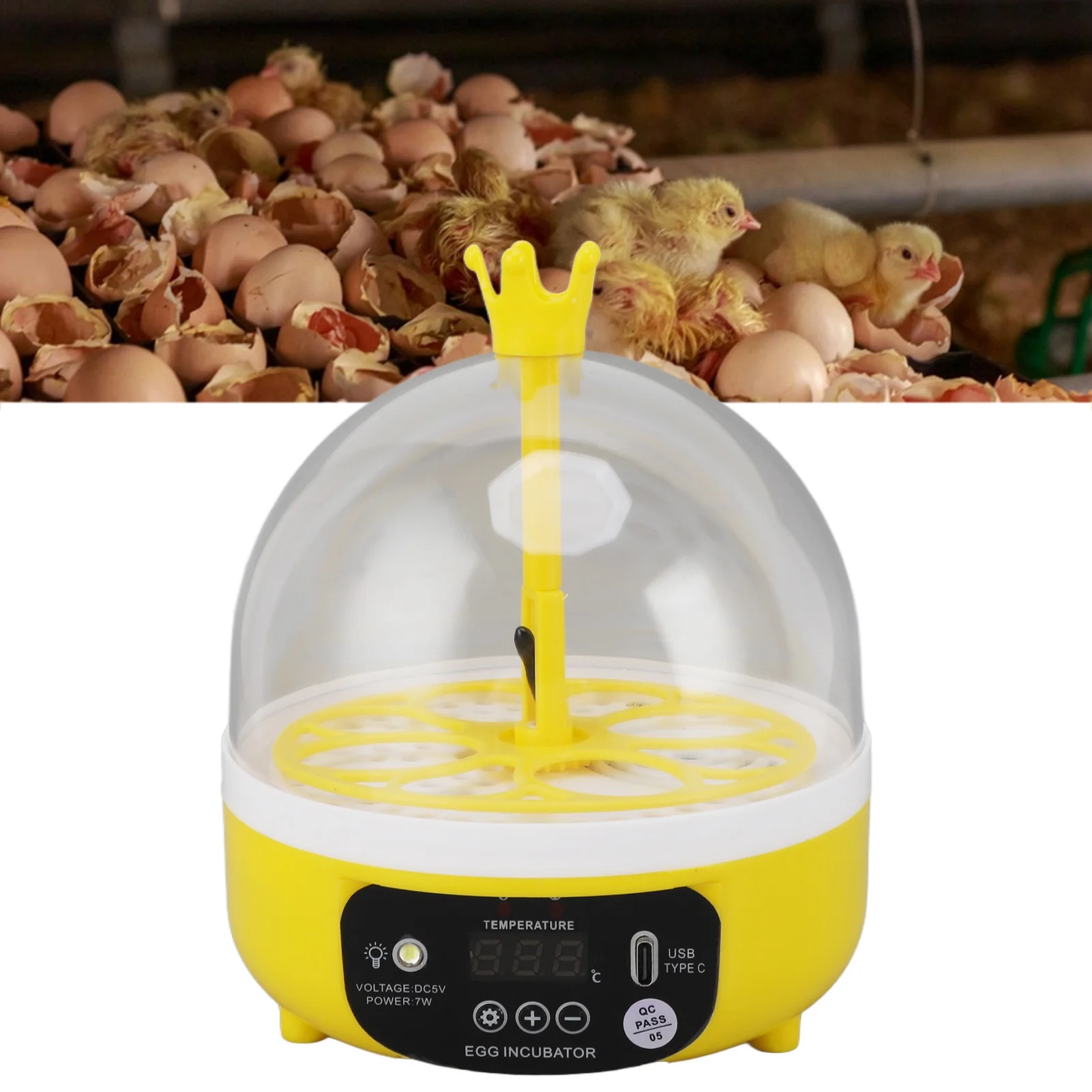 Poultry Hatching Machine ABS Noiseless Egg Incubator Automatic Temperature Humidity Control Transparent Lid 4 Eggs for Home