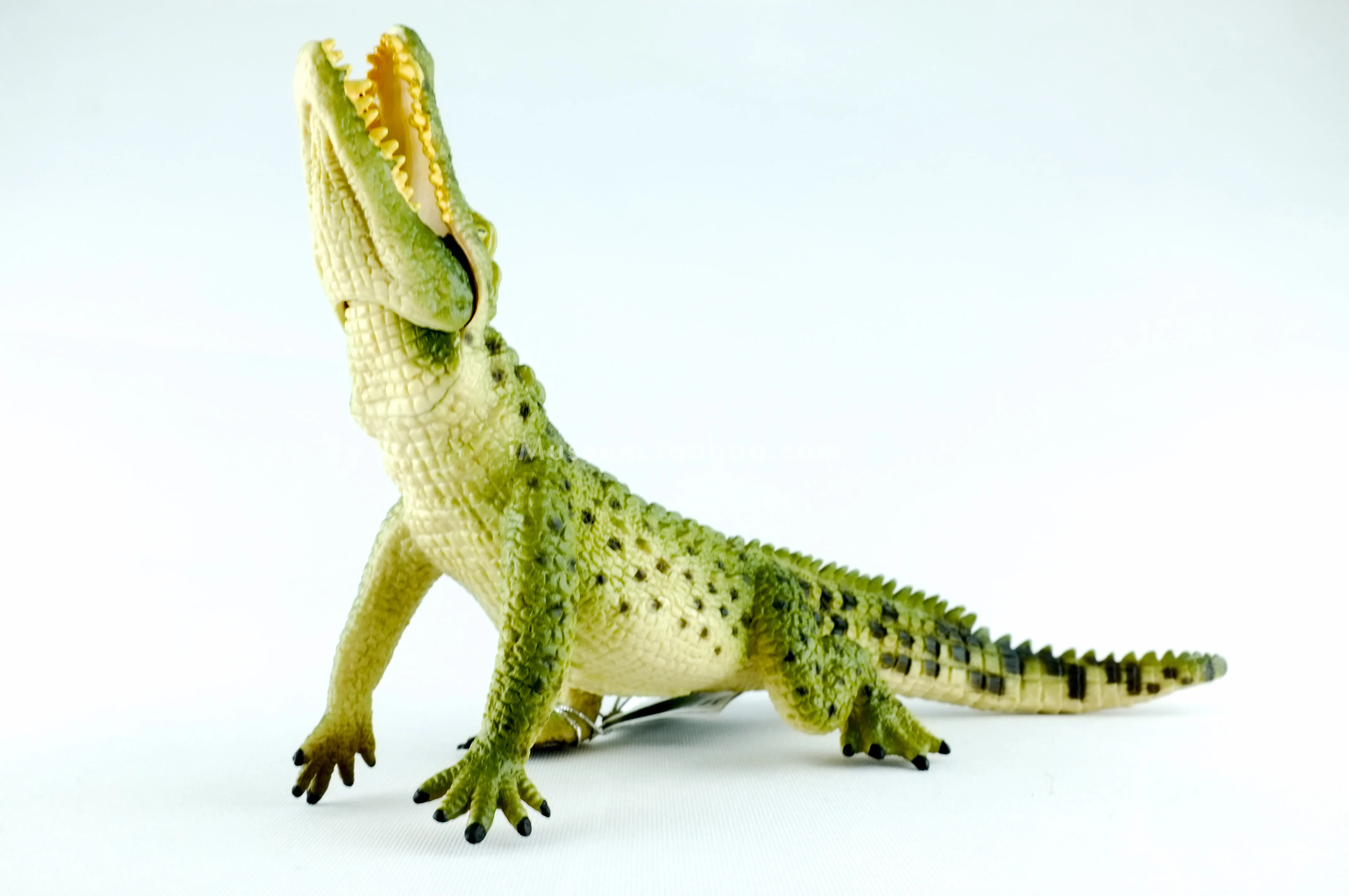 الحيوانات البرية محاكاة لعبة مجسمة النيل التمساح الأمريكية قصيرة Snouted التمساح الشعور المادي يمكن أن يكون لعبة مجسمة العملي #4