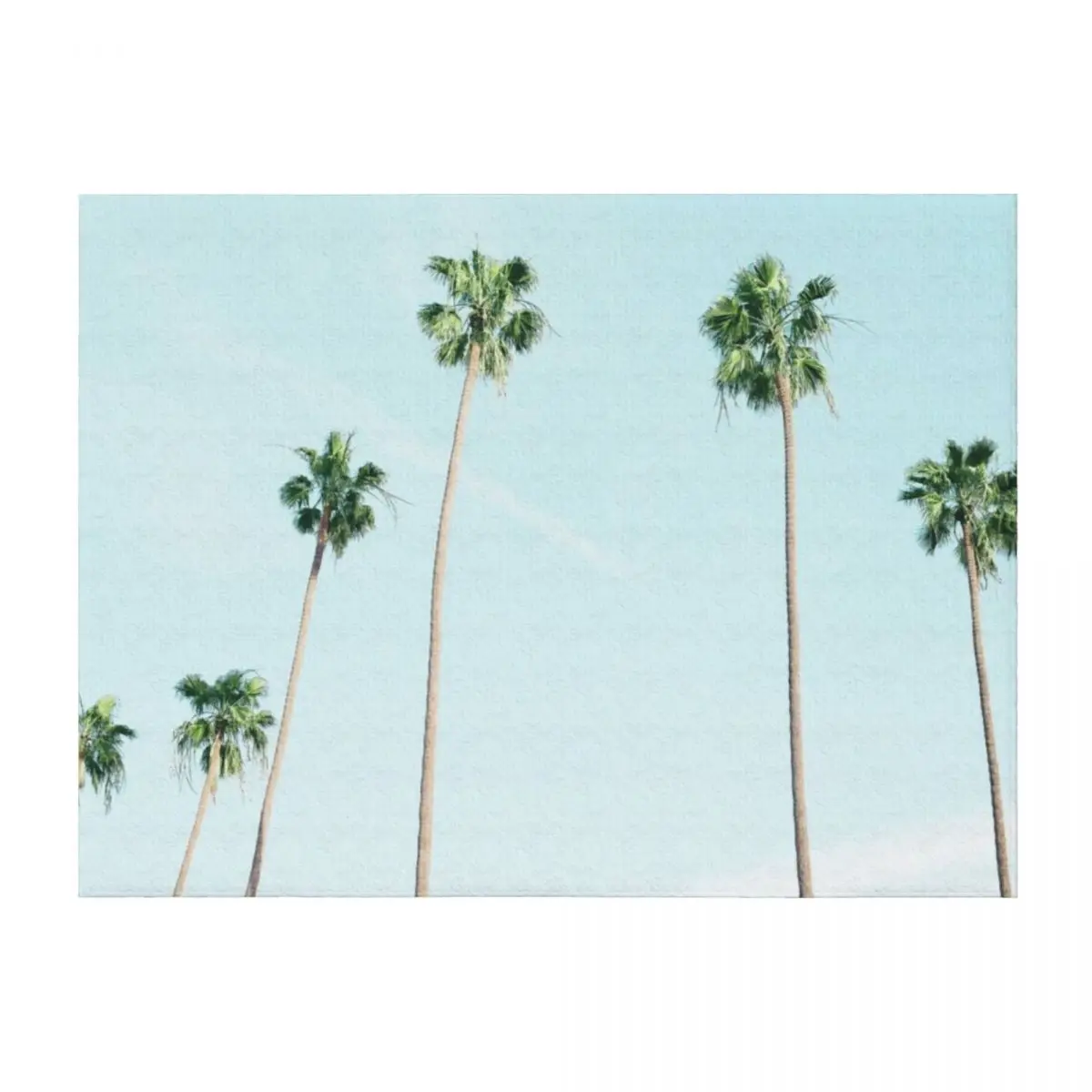 

PALM TREES Throw Blanket Vintage for winter Thin Beautifuls Blankets