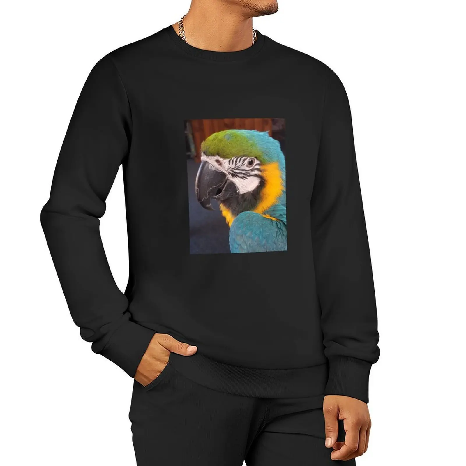 Gideon the macaw Pullover ملابس رياضية للرجال ترتدي بلوزات الخريف الرجالية