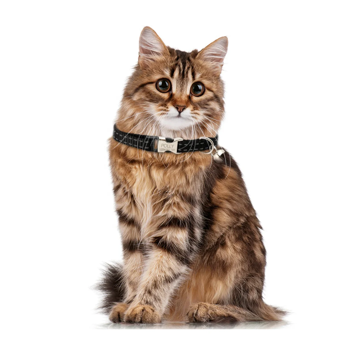 Cat collar with bell, engravable content, night reflective nylon cat leash anti lost pet cat collar