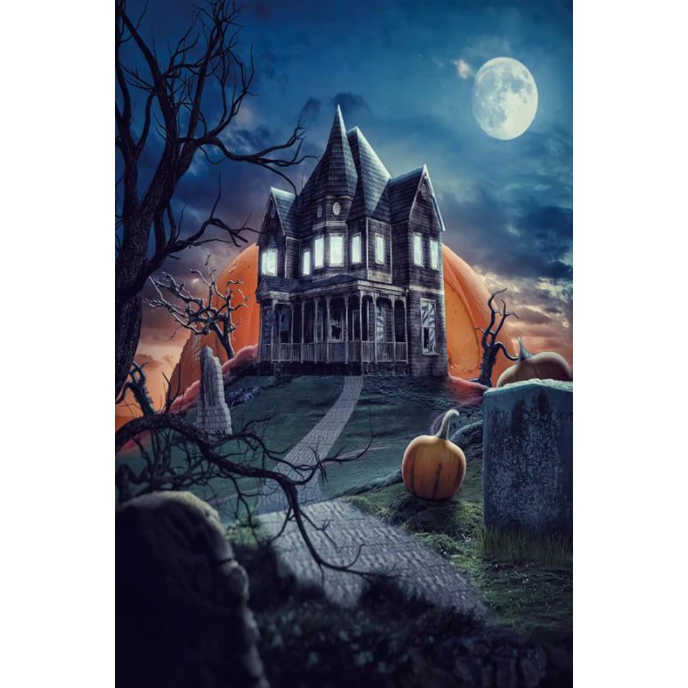 Laeacco Halloween Backdrops for Photography Old House Window Tree Bookeshelf Books Photo Backgrounds Baby Portrait Photophone