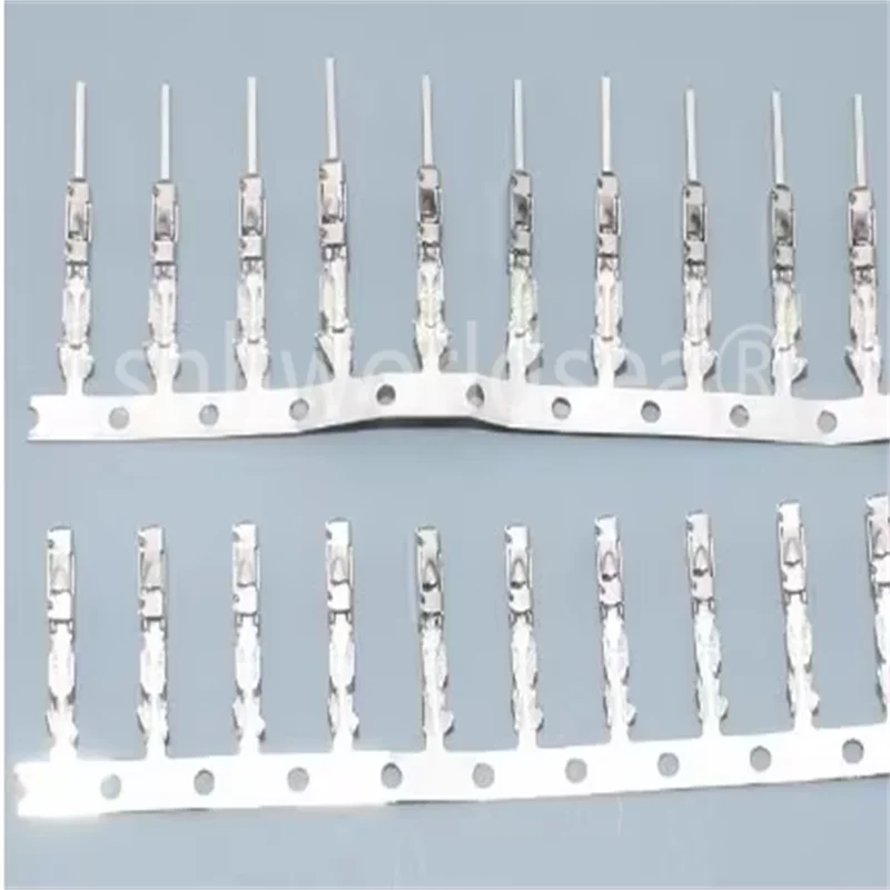 5000 Female Termina…