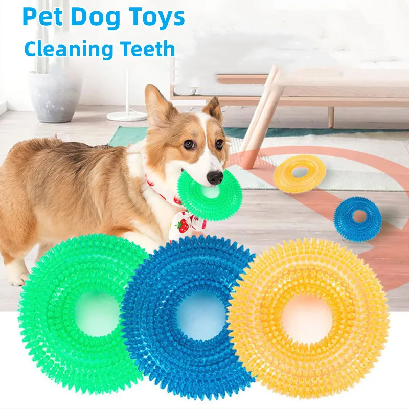 Squeaky Pet Dog Interactive Chew Toy Puppy Bite Resistant Thorn Barbed Tooth Cleaning Toy TPR Molar Chew Toys for Dogs