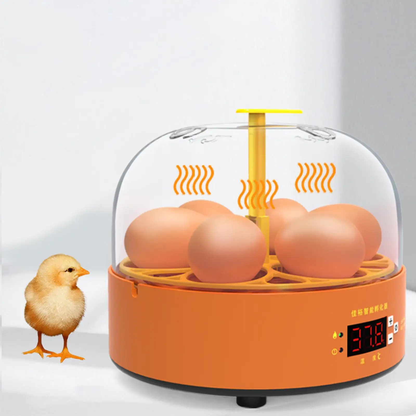 Mini Eggs Incubator Automatic Eggs Turning Duck Bird LED Lamp Power