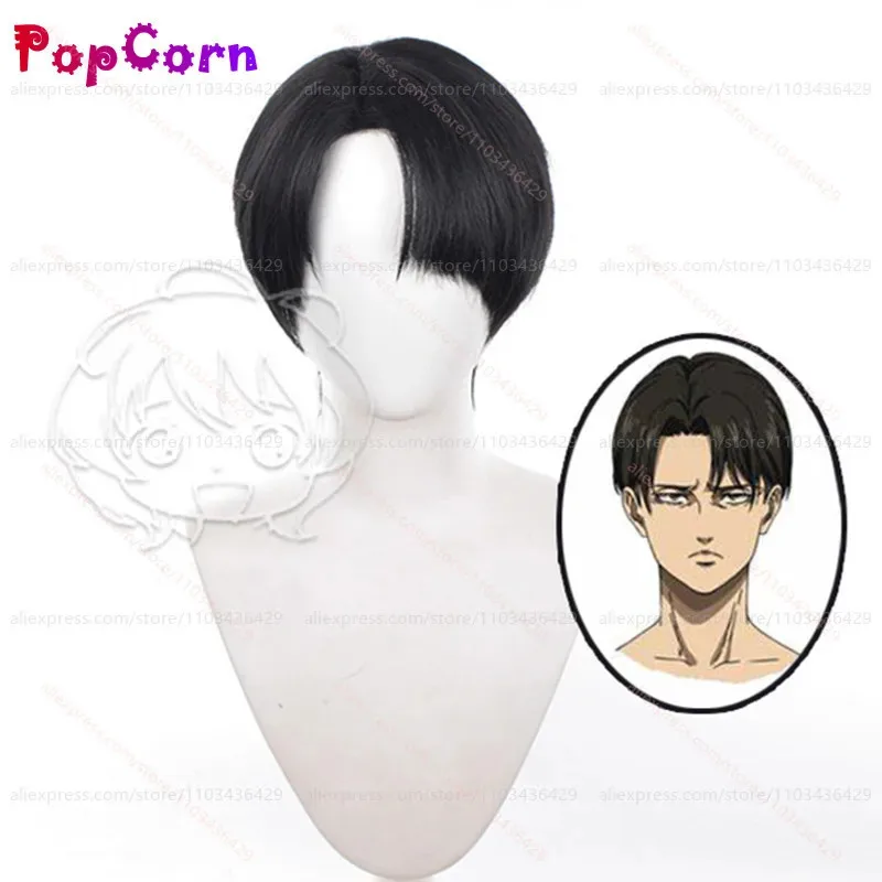 qq28LQLevi Ackerman Unisex 30cm Short Hair Black Wig Anime Cosplay Heat Resistant Synthetic Wigs