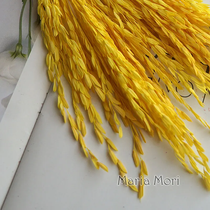 5 جرام/Broomcorn مصبوغ الزهور الطبيعية المجففة ابيض اليدوية DIY المواد الراتنج الايبوكسي الغراء الروائح الشموع الزهور