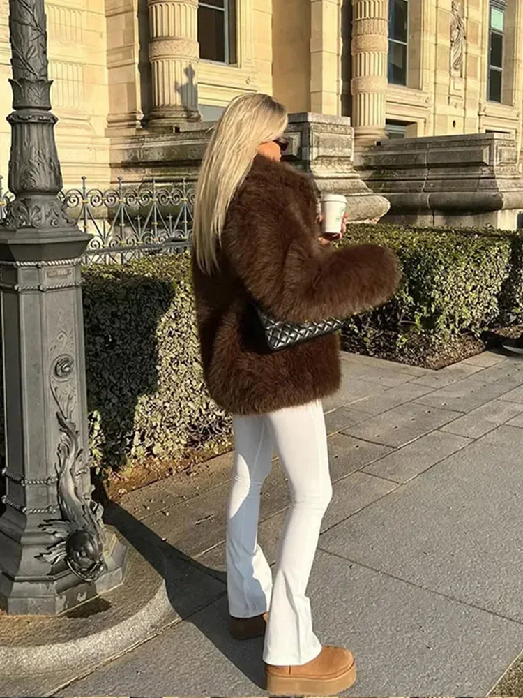 Brown Women Faux Fur Coat Vintage Loose Long Sleeve Fluffy Short Coats 2025 Autumn Winter Female Elegant Street Commuter Outwear
