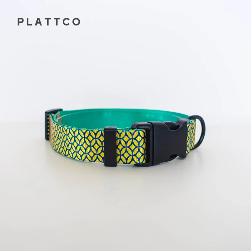 PLATTCO unique designed large medium and small dog collar leash set WEALTHY COINS  with black plastic plus zinc alloy PDC305