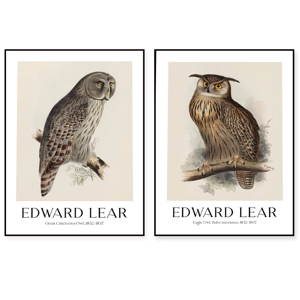 Edward Lear - Macrocercus Ararauna, Eagle Owl, Blue and Yellow Macaw Art Print, Botanical Poster