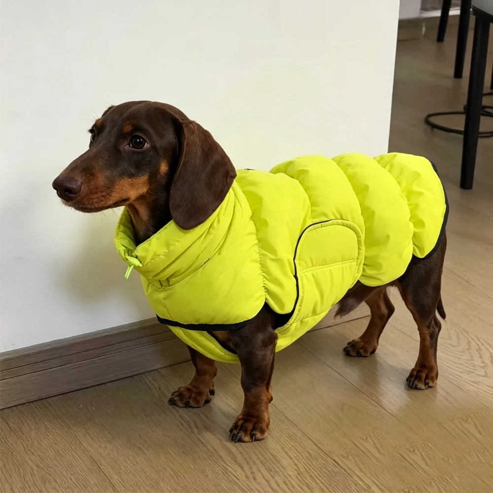 Chaqueta de invierno para teckel: abrigo cálido cortaviento fácil - imagen 4