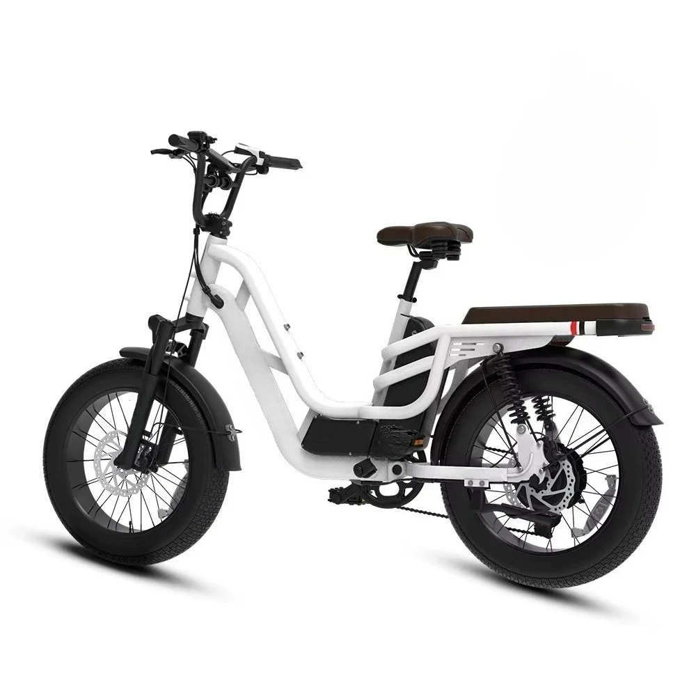 

Ready to Ship 750W Electric Mountain Bike Factory Direct 48V 20AH Battery for Adults City Bicycles