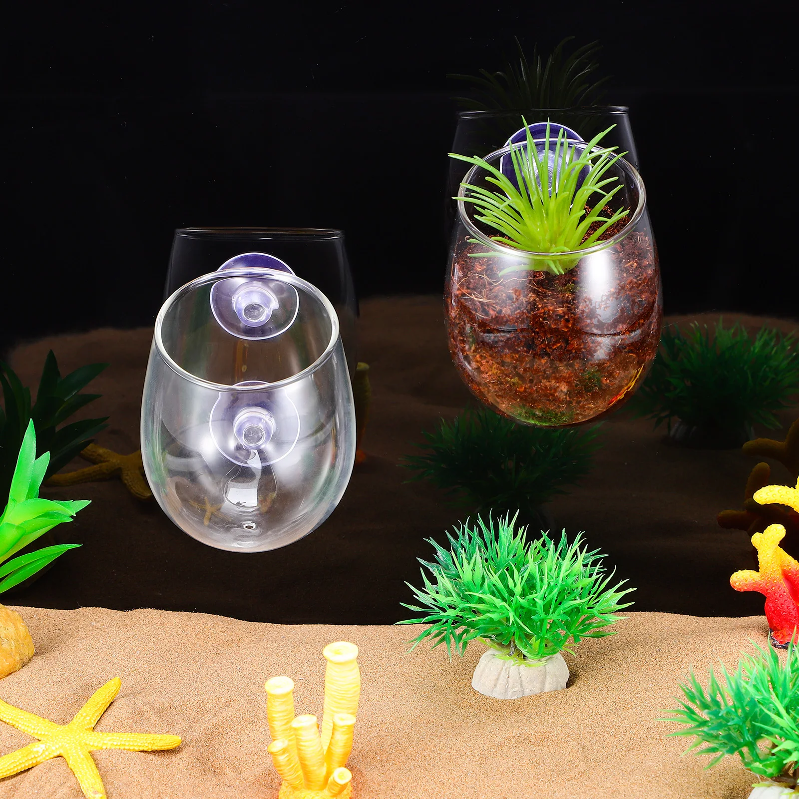 

Aquarium Plant Fixed Holder Cup Aquatic Planter Plants Transparent Pot Fish Tank Decorations