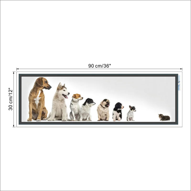 Funny Dogs Cat Pvc Photo Frame Wall Art Stickers For Office Home Decoration Animal Vivid 3d Puppy Kids Room Creative Wall Decal