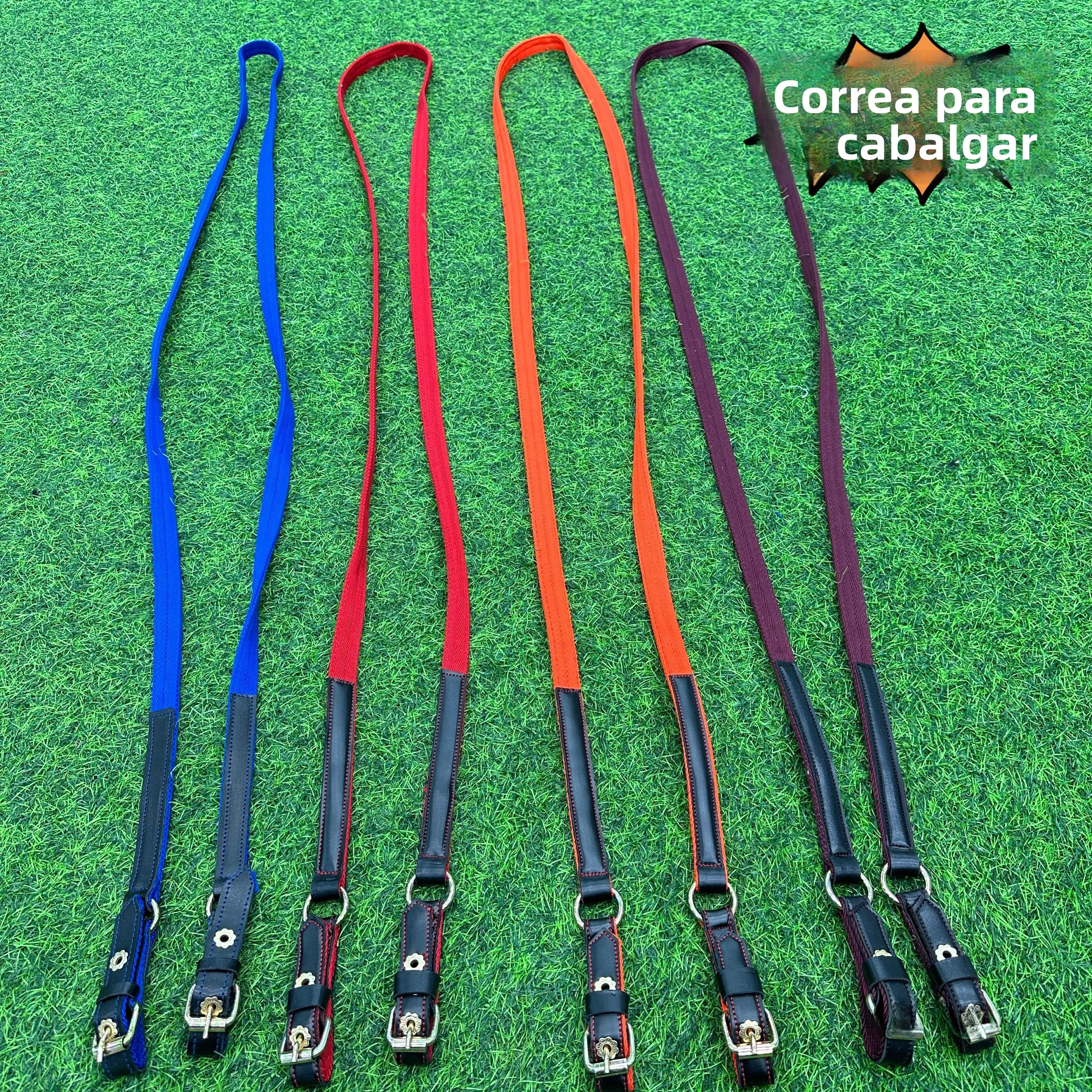 Equipo de Equitación, Silla de Montar, Brida, Arreos, Látigo, Suministros para Montar a Caballo, Cuidado Profesional del Caballo