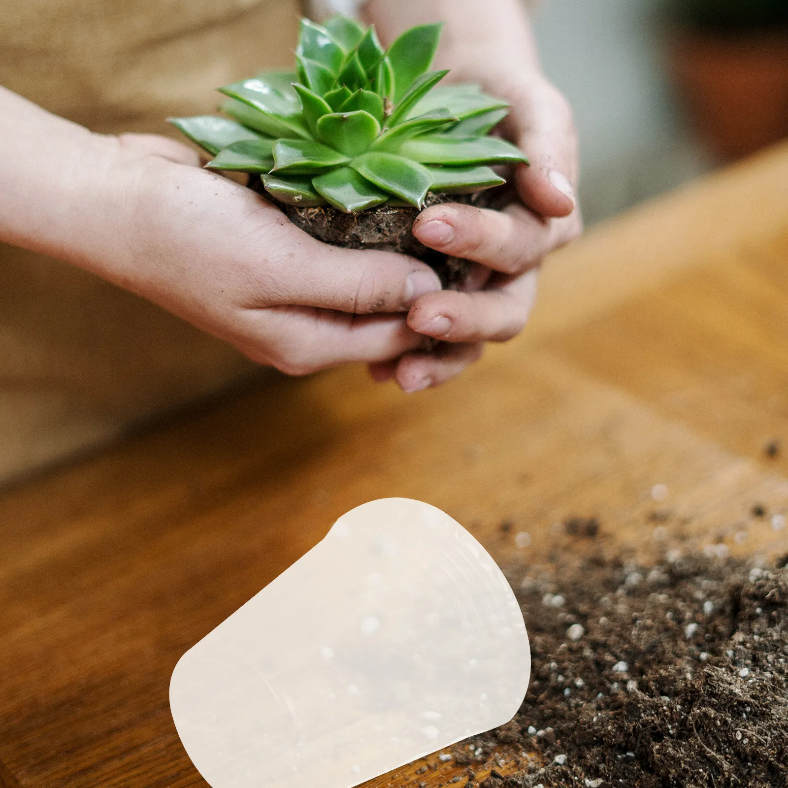 50Pcs Plant Nursery Cups Transparent Plastic Seedling Pots Keep Warm Moisture Proof Germination Cups for Flowers Vegetables