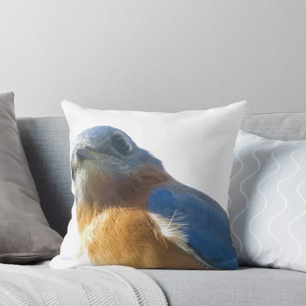 

I see you too, Mr. Blue! Throw Pillow autumn pillowcase Elastic Cover For Sofa home decor items Couch Pillows pillow