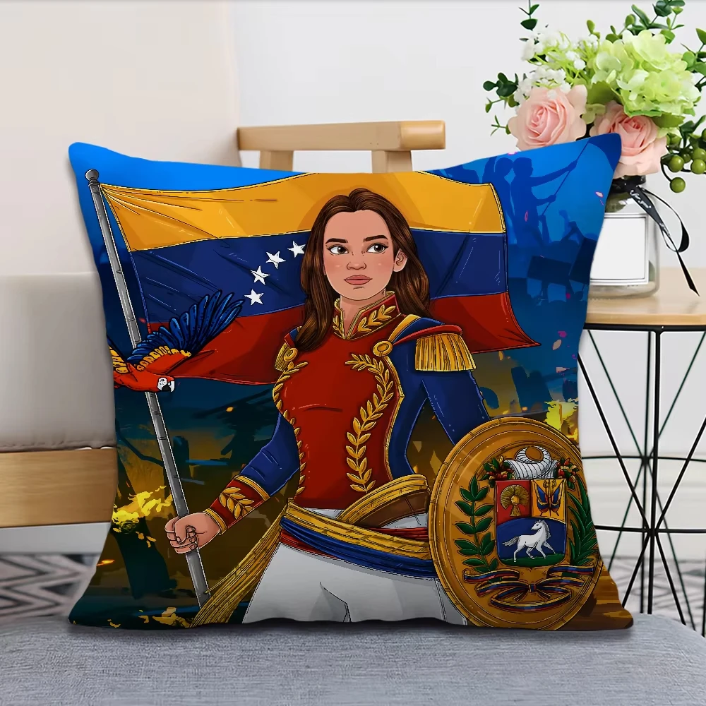 Aesthetic Art Venezuela Pillow Cover, Soft Comfortable Decorative Cushion Case for Sofa Living Room
