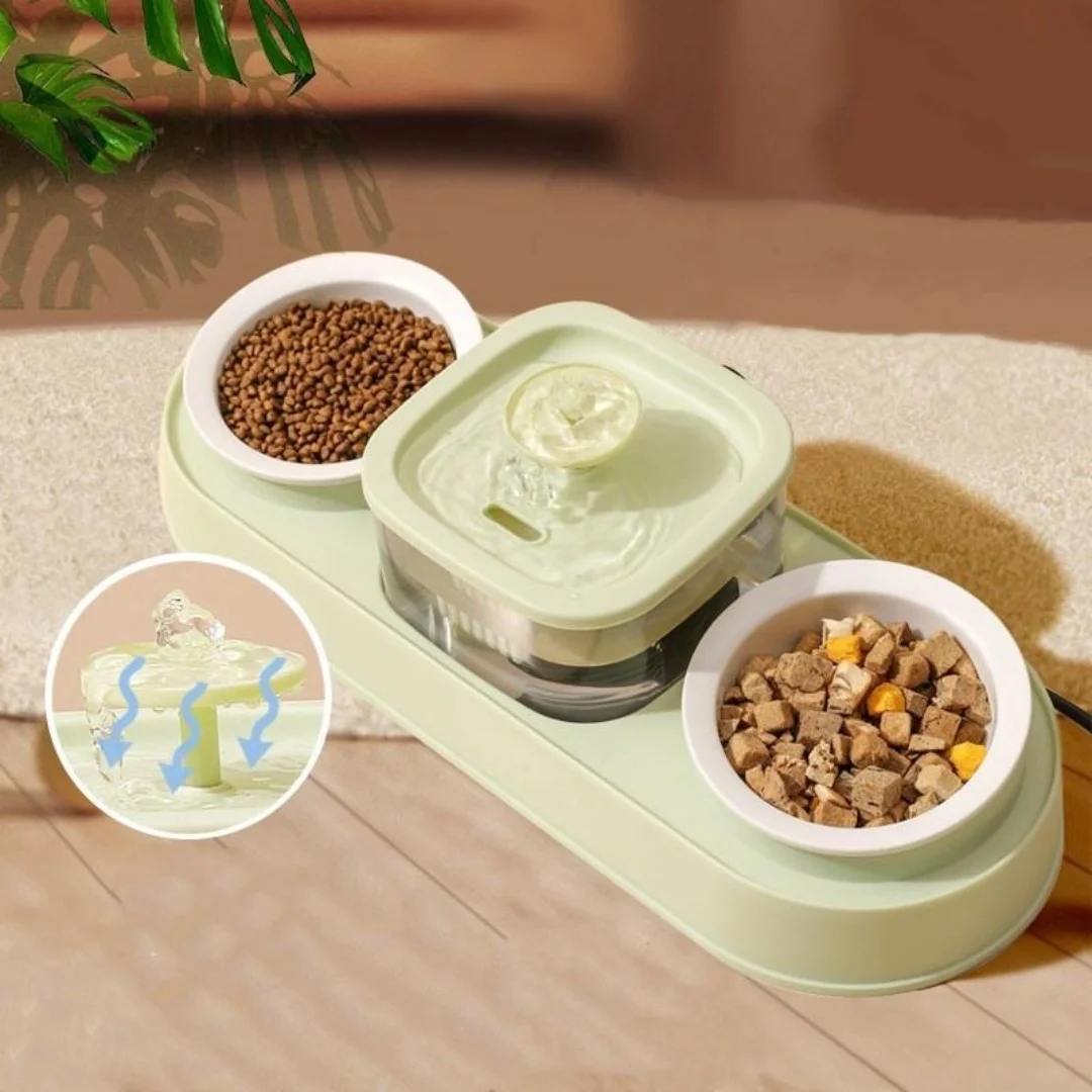Cat Food Bowls and Water Feeder with Automatic Water Dispenser Double Dog Cat Bowls Detachable Pet Feeder