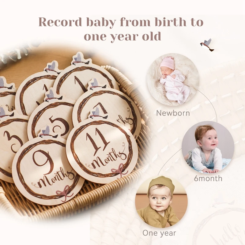 8PCS Newborns Cartoon Bird Milestone 1-12 Month Card Wooden Baby Memories Birthday Party Decoration Children Photography Props