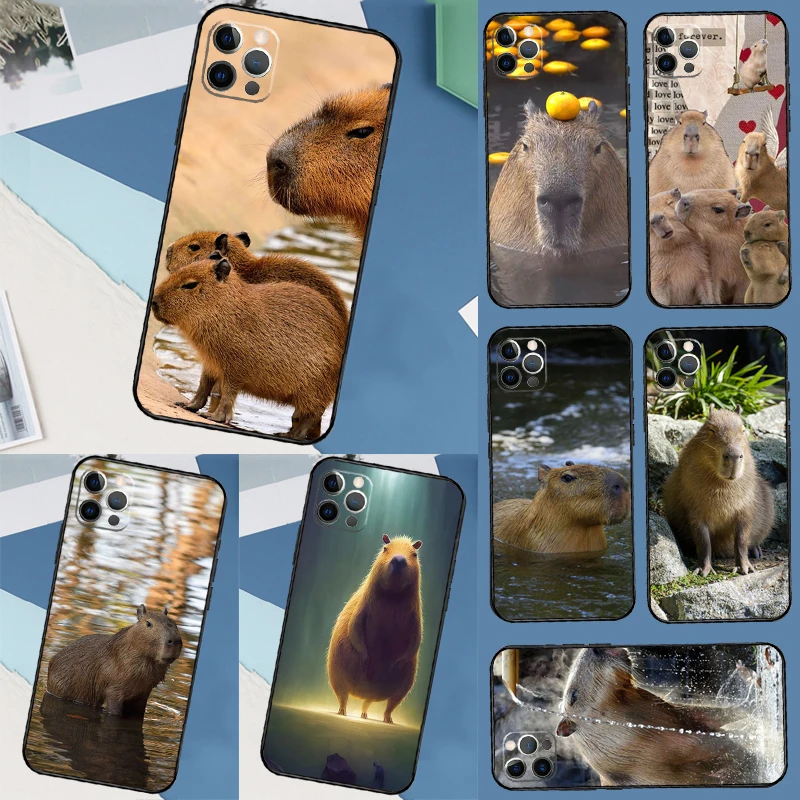Animal Funny Capybara Case For Samsung Galaxy S24 Ultra S20 S21 S22 S23 S25 Ultra S9 S10 Plus S25 FE Cover Coque