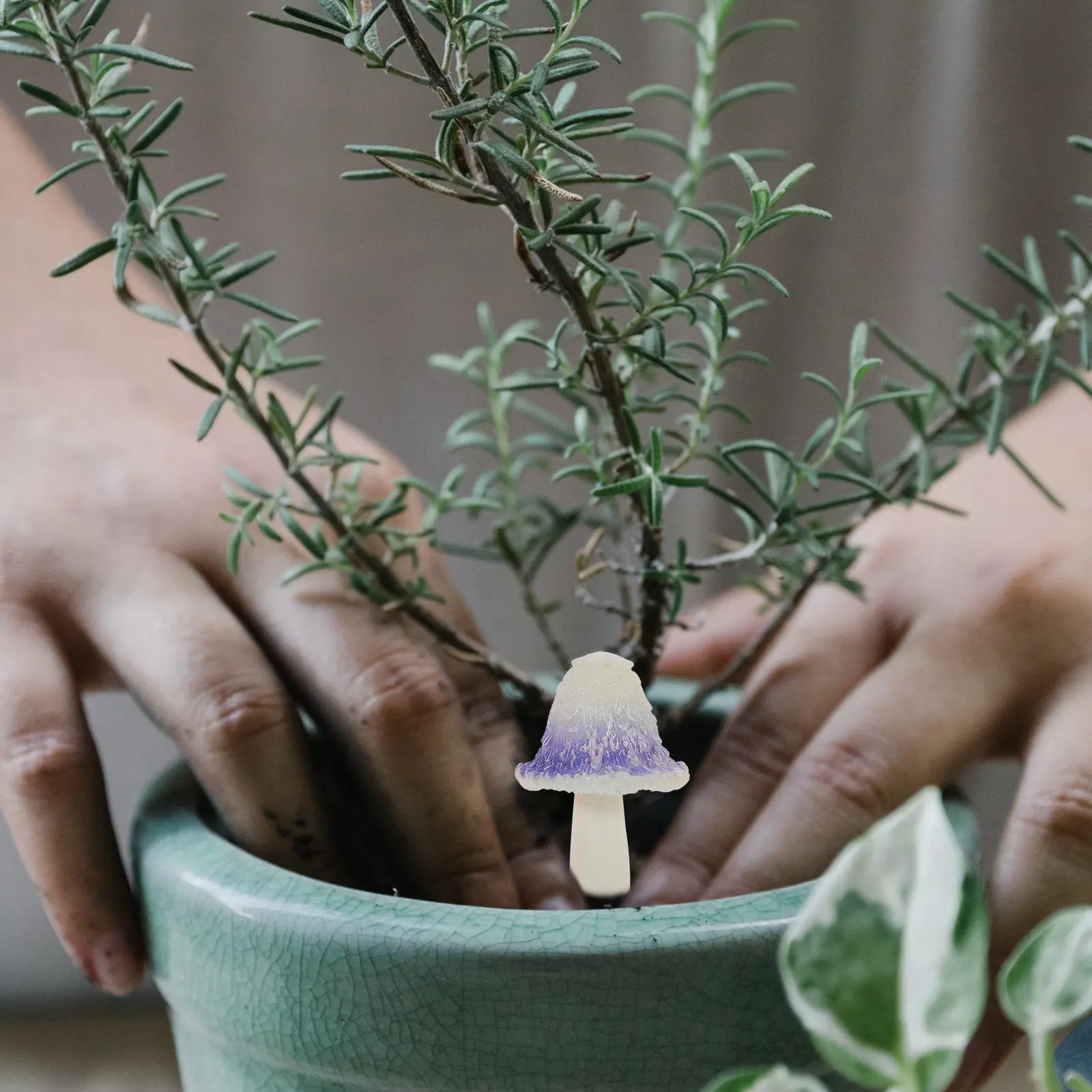 

Набор из 12 легких полимерных грибов для микроландшафта, сада, террариума, моховой композиции, декора полок и столов, мини-грибы