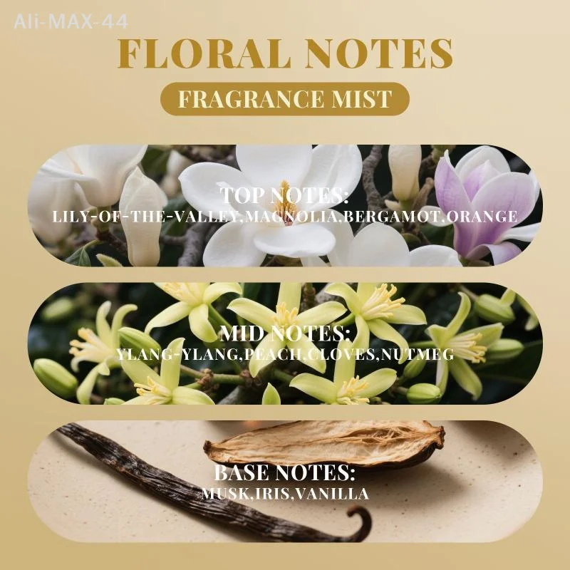 

Women's Body Mist 100ml Floral Fruity Fragrance Alcohol Free Long Lasting Perfume Light Scent for Gym and Workout