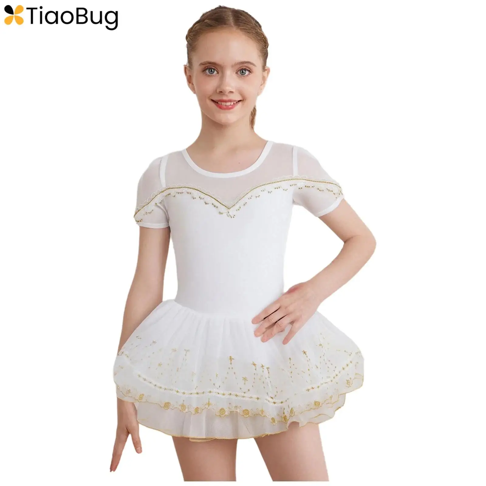 Girls Ballet Dress Short Sleeve Sheer Mesh Patchwork Lace Trim Embroidery Hem Tutu Dress Ballerina Dance Performance Costume