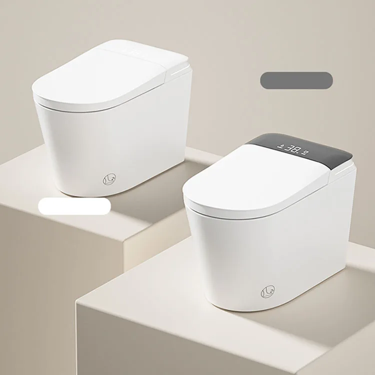 

HANMEI Fashion Smart Toilet Floor Mounted Ceramic with Auto-Flush & Remote Control