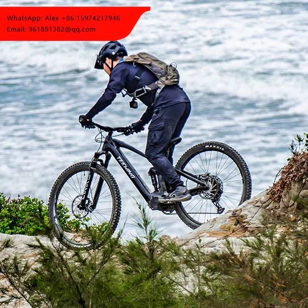 

Newest 800Wh Mid Motor Integrated 36V Battery Option Full Suspension Carbon Frame Electric Bike For EMTB/Ebike