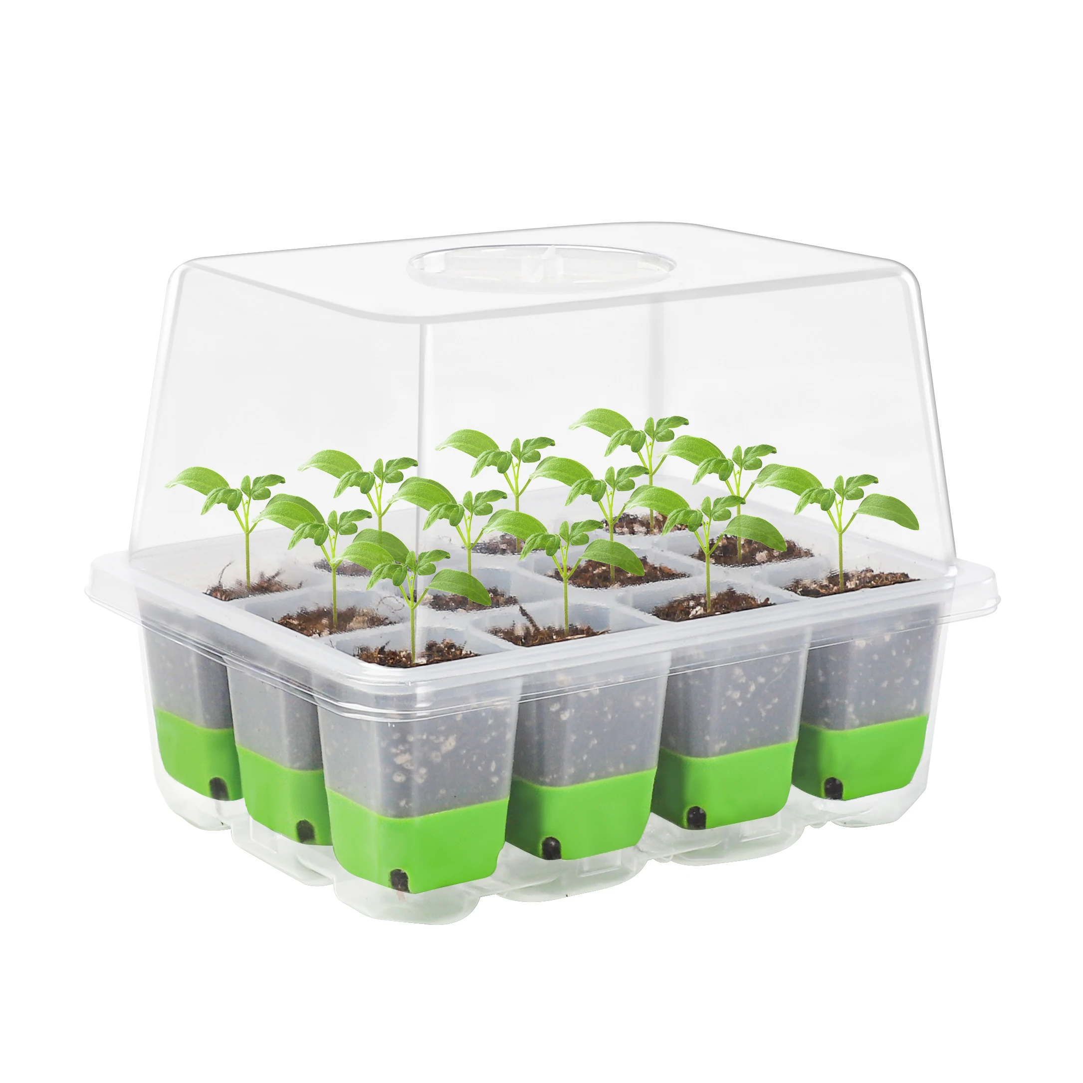 

Reusable 12-Cell Silicone Agriculture Vegetable Box Plant Sowing Grow Plant Startup Kit with Dome