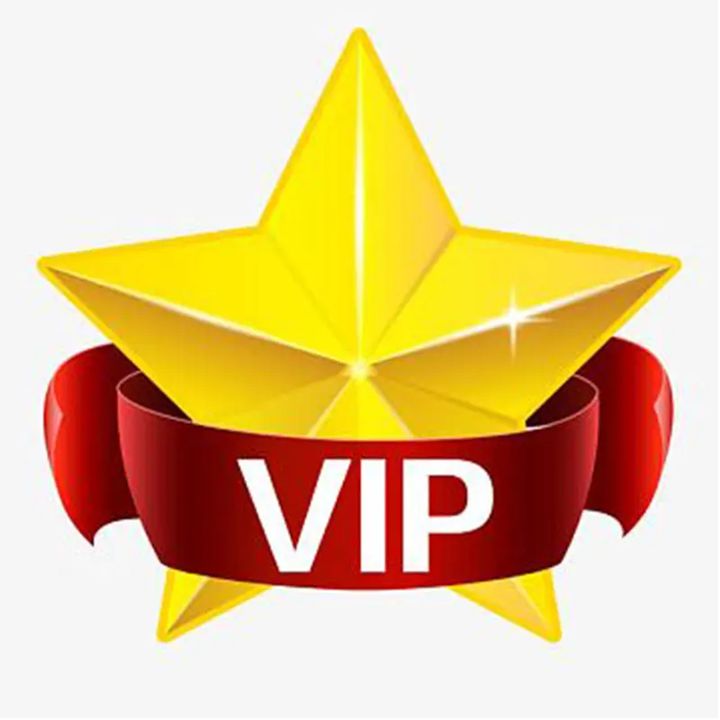 

VIP Customer Quick Payment Link Pay Before Negotiated