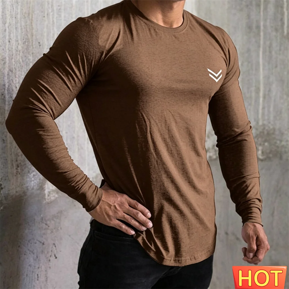 Summer Cotton Long Sleeve T-shirt Men Running Sport Skinny Shirt Gym Fitness Training Tee Tops Male Bodybuilding Men's clothing image 5
