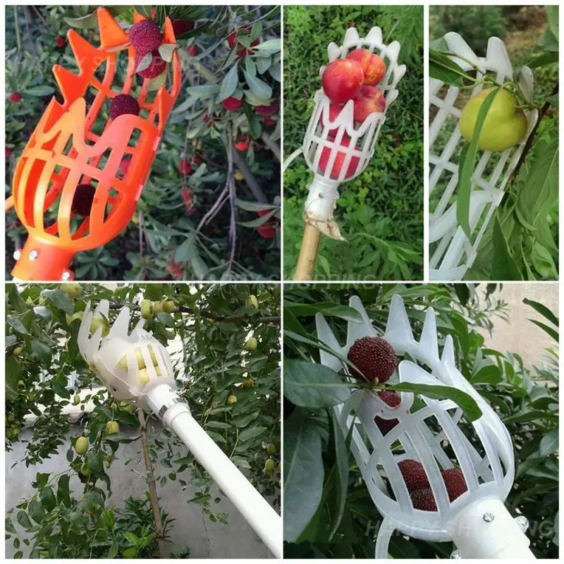 Fruit Picker Fruit Catcher Greenhouse Garden Tools Gardening Fruit Collection Picking Head Tool High Altitude Bayberry Harvester