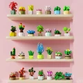 12PCS No Box