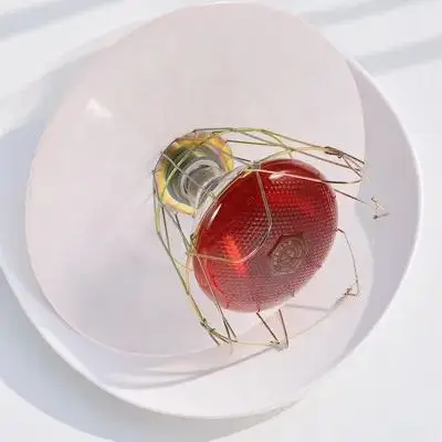 

Livestock Heating Lamp 250W Pet Warming Light for Reptile Incubator Cage Farm Animal Warmer Supply Accessory Tool Heater